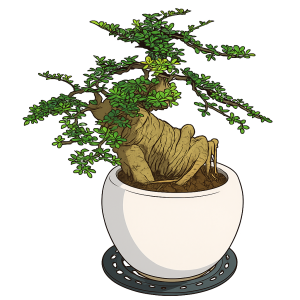 Bonsai